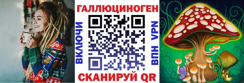 купить закладку  Верхоянск  Псилоцибиновые грибы Psilocybine cubensis 